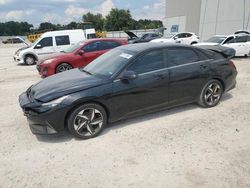 Salvage cars for sale at Apopka, FL auction: 2023 Hyundai Elantra Limited