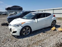 Salvage cars for sale at Earlington, KY auction: 2013 Hyundai Veloster