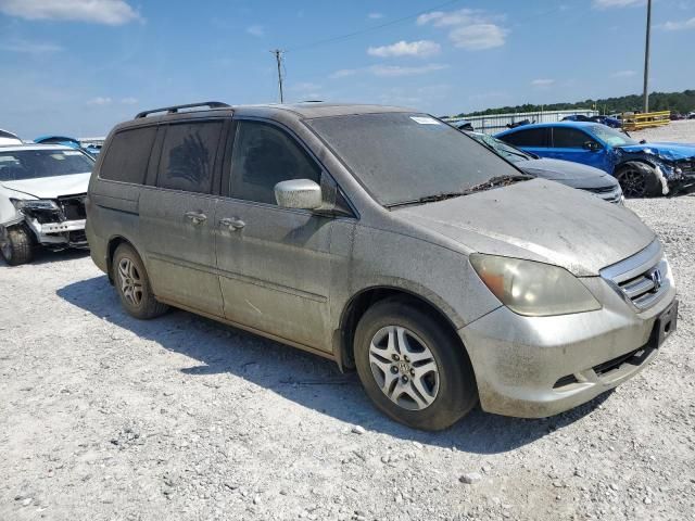 2006 Honda Odyssey EXL