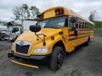 2023 Blue Bird School Bus / Transit Bus