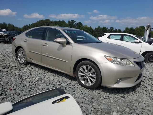 2013 Lexus ES 300H