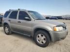 2001 Ford Escape XLT