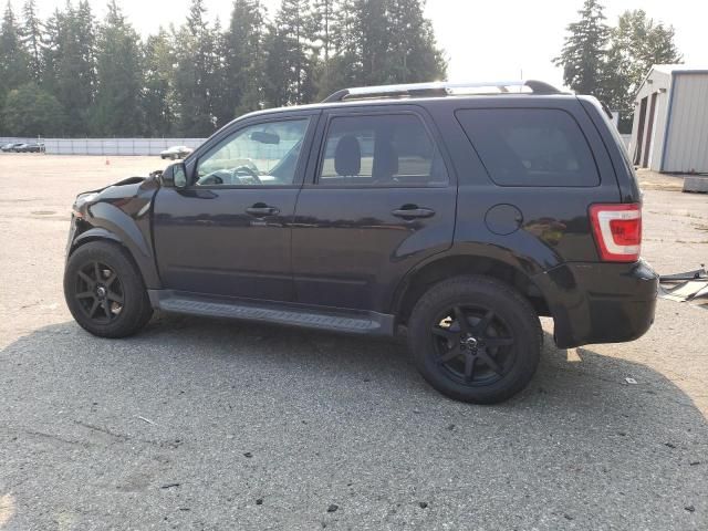 2010 Ford Escape Limited