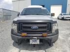 2013 Ford F150