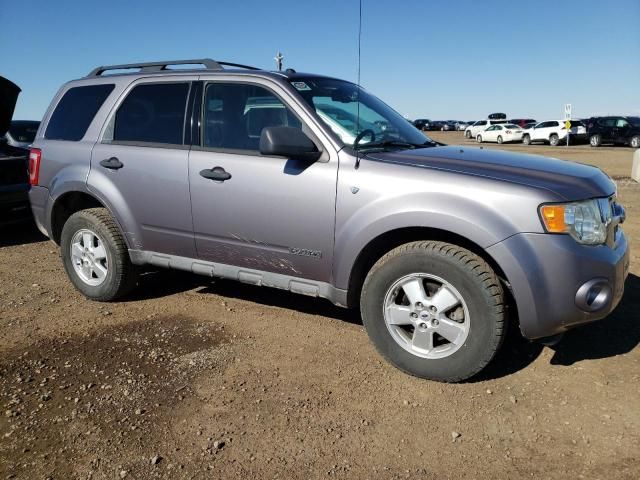 2008 Ford Escape XLT