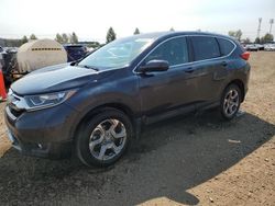 Salvage cars for sale at Rocky View County, AB auction: 2019 Honda CR-V EX