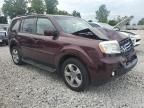 2013 Honda Pilot EXL