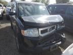 2010 Honda Element EX