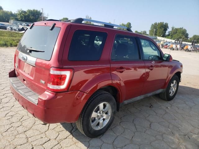 2010 Ford Escape Limited