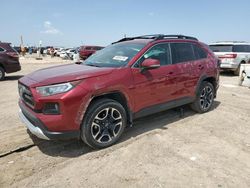 Salvage cars for sale from Copart Amarillo, TX: 2019 Toyota Rav4 Adventure