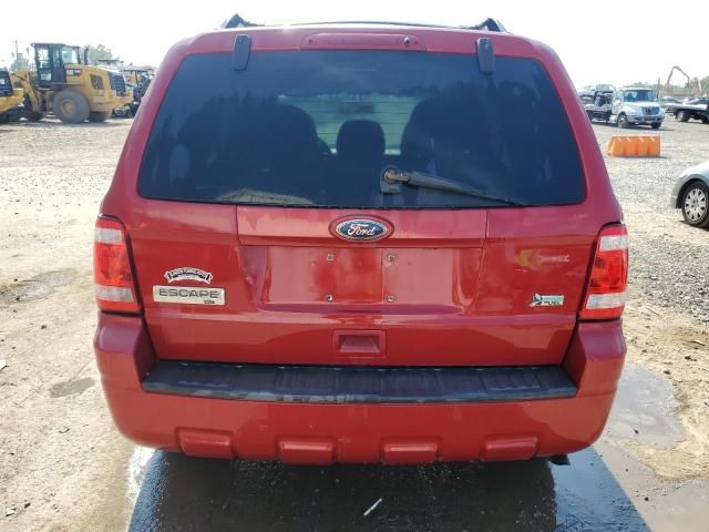 2010 Ford Escape XLT