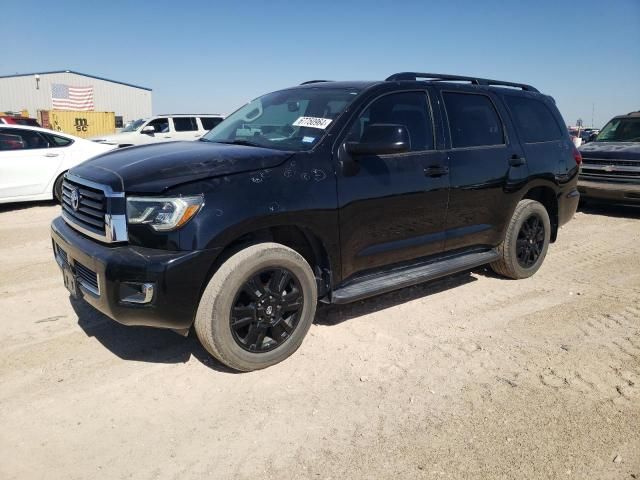 2019 Toyota Sequoia SR5