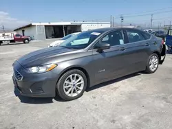 Vehiculos salvage en venta de Copart Sun Valley, CA: 2019 Ford Fusion SE