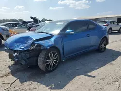 Salvage cars for sale at auction: 2015 Scion TC