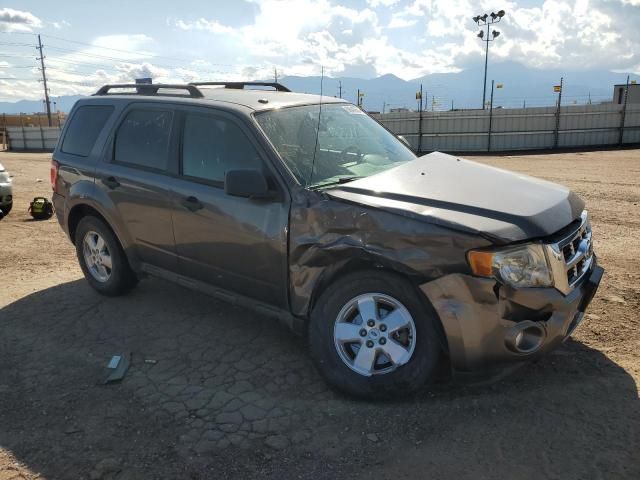 2012 Ford Escape XLT