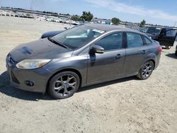 Ford salvage cars for sale: 2013 Ford Focus SE