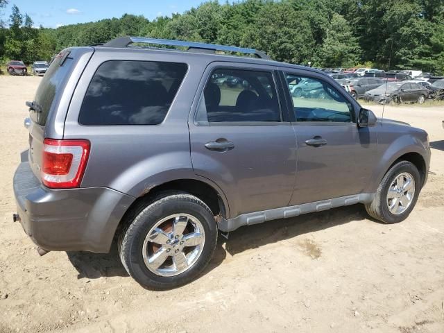 2010 Ford Escape Limited