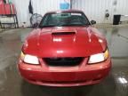 2002 Ford Mustang GT