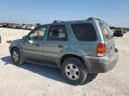 2007 Ford Escape XLT