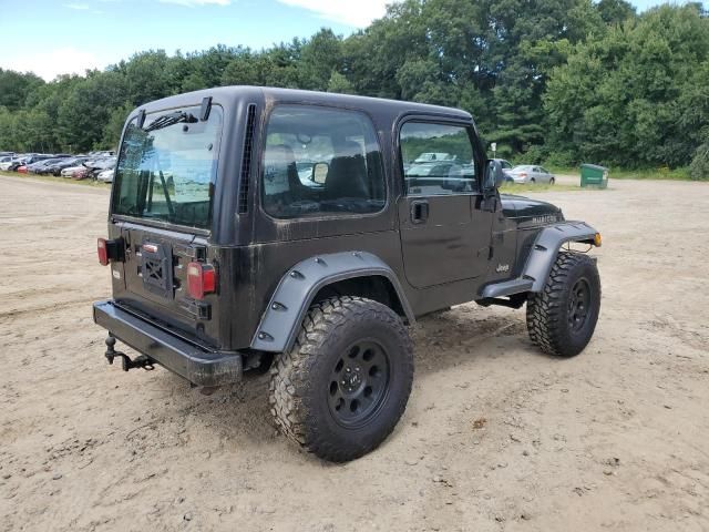 2002 Jeep Wrangler / TJ X