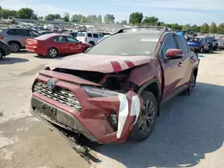 Salvage cars for sale at Bridgeton, MO auction: 2023 Toyota Rav4 Limited