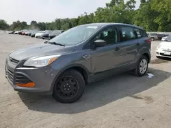 Salvage cars for sale at Ellwood City, PA auction: 2013 Ford Escape S