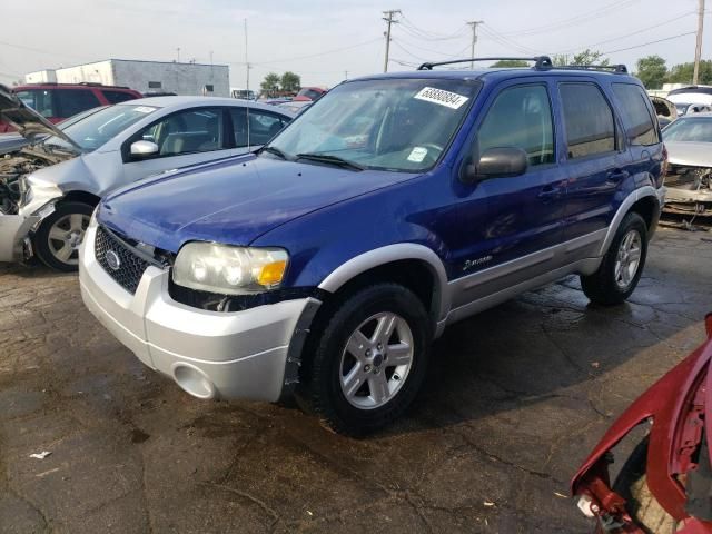 2005 Ford Escape HEV