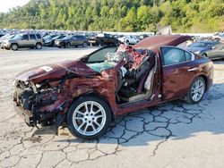 Salvage cars for sale at Hurricane, WV auction: 2010 Nissan Maxima S