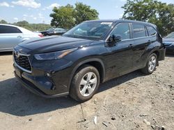 Salvage cars for sale at Baltimore, MD auction: 2023 Toyota Highlander L