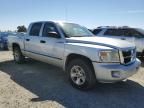 2008 Dodge Dakota Quad SLT