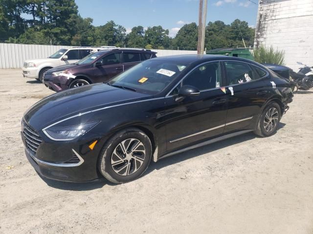 2020 Hyundai Sonata Hybrid