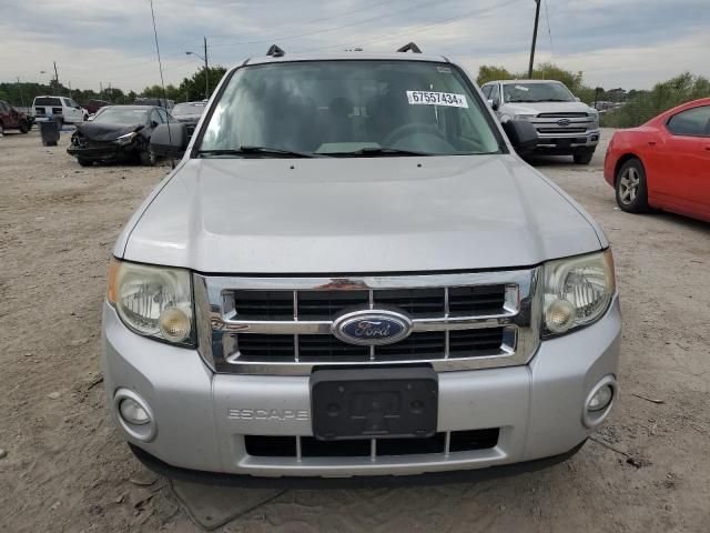 2009 Ford Escape XLT