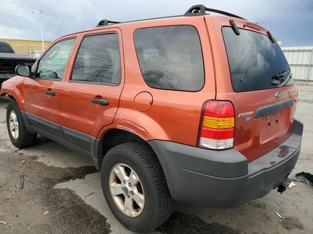 2006 Ford Escape XLT