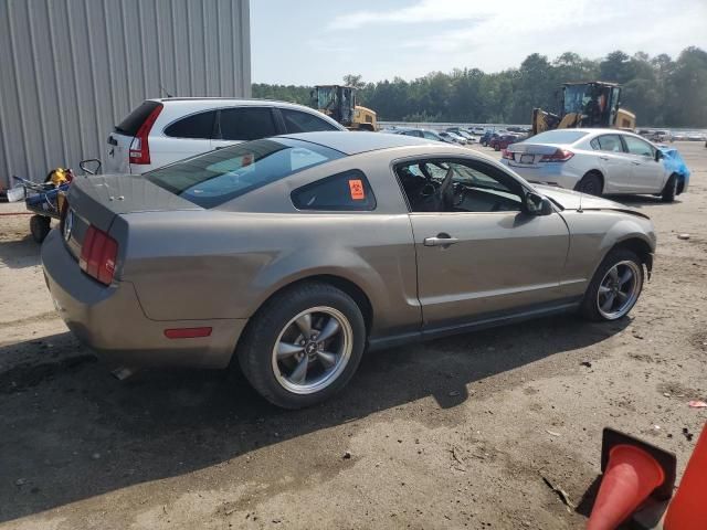 2005 Ford Mustang