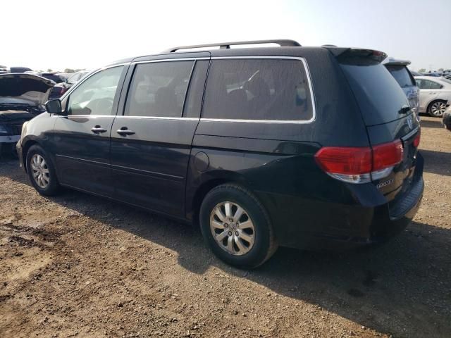 2008 Honda Odyssey EXL