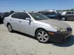 2005 Lexus ES 330