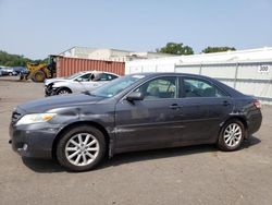 Toyota Vehiculos salvage en venta: 2010 Toyota Camry Base