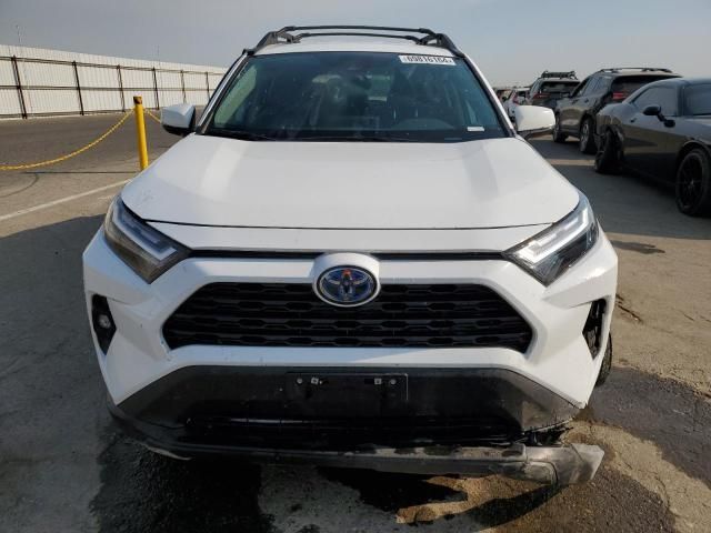 2023 Toyota Rav4 Woodland Edition