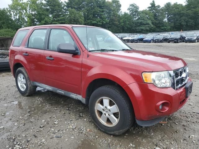 2011 Ford Escape XLS