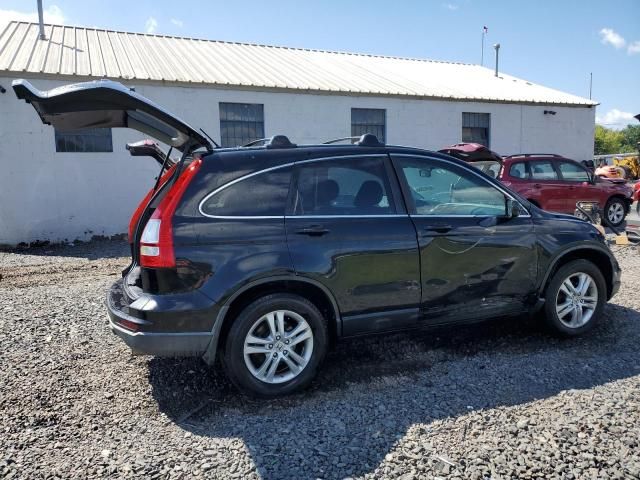 2010 Honda CR-V EXL