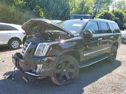 Vehiculos salvage en venta de Copart New Britain, CT: 2019 Cadillac Escalade Luxury