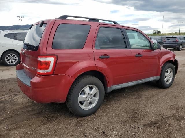 2010 Ford Escape XLT