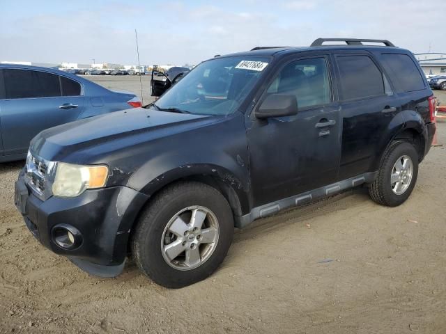 2011 Ford Escape XLT