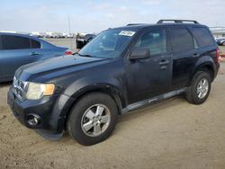 Salvage cars for sale at San Diego, CA auction: 2011 Ford Escape XLT