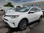 2016 Toyota Rav4 HV XLE