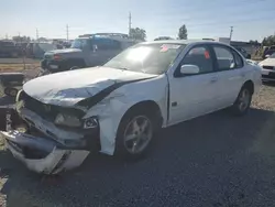 Nissan salvage cars for sale: 1999 Nissan Maxima GLE