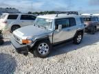 2007 Toyota FJ Cruiser