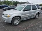 2007 Ford Escape XLT