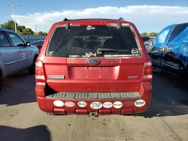 2008 Ford Escape XLT