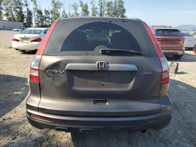 2010 Honda CR-V EX